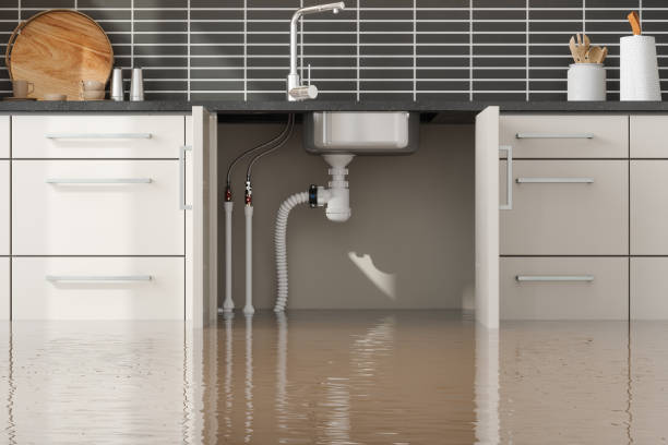 Best Fire Damage Restoration  in Mi Wuk Village, CA